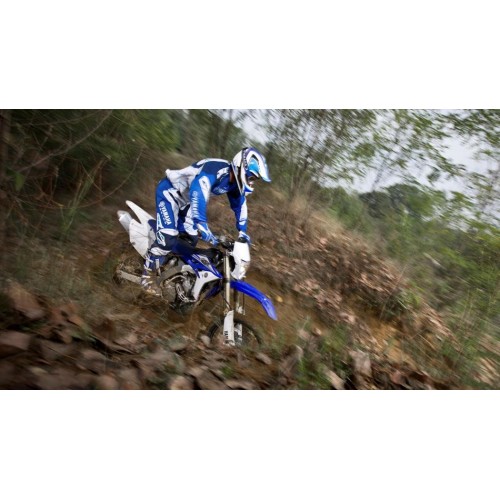 Yamaha WR 450 2015